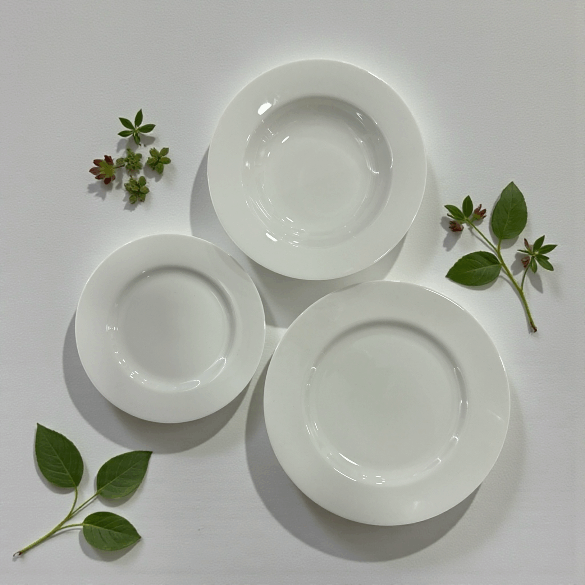 Servizio piatti 36 pezzi - Whiteware Livellara